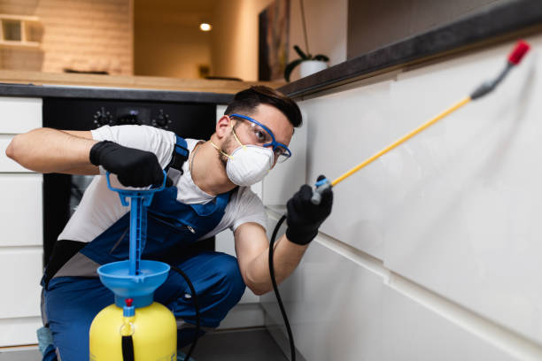 Best Pest Prevention Services  in Lakewood Park, FL