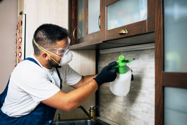 Best Bed Bug Extermination  in Lakewood Park, FL