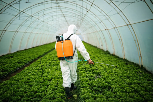 Best Best Pest Control Companies  in Lakewood Park, FL