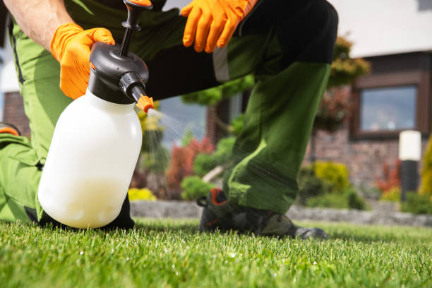 Best Ant Control Services  in Lakewood Park, FL