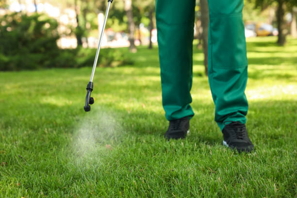 Best Pest Prevention Services  in Lakewood Park, FL