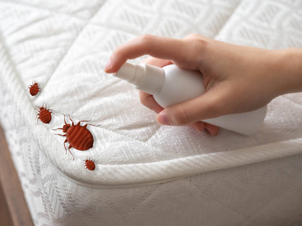 Lakewood Park, FL Pest Control Company
