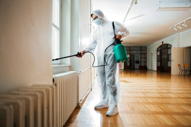 Best Pest Inspection Near Me  in Lakewood Park, FL