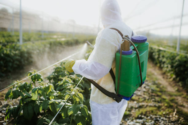 Best Emergency Pest Control  in Lakewood Park, FL